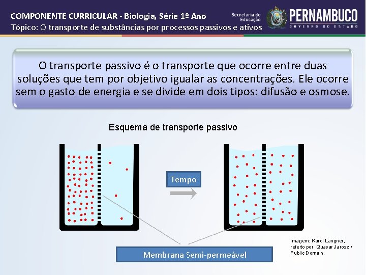COMPONENTE CURRICULAR - Biologia, Série 1º Ano Tópico: O transporte de substâncias por processos