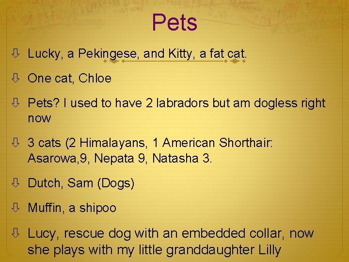 Pets Lucky, a Pekingese, and Kitty, a fat cat. One cat, Chloe Pets? I