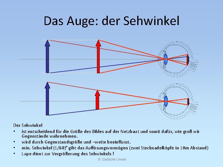 Das Auge: der Sehwinkel Der Sehwinkel • ist entscheidend für die Größe des Bildes