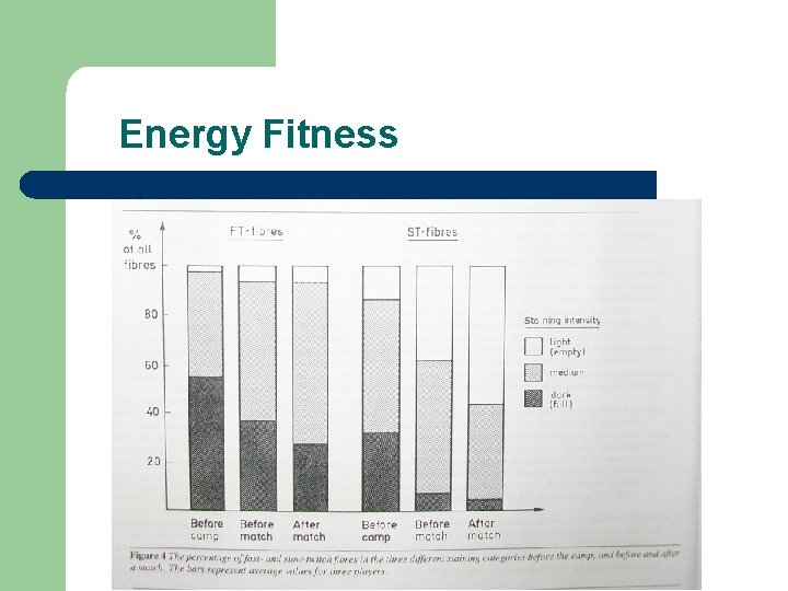 Energy Fitness 