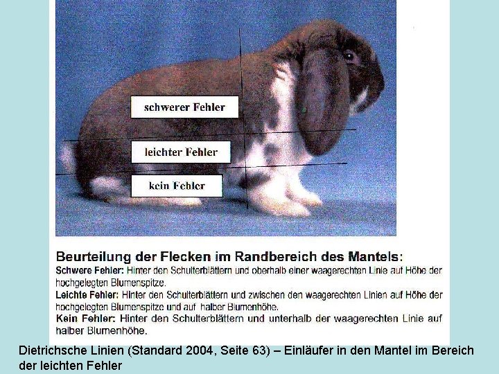 Dietrichsche Linien (Standard 2004, Seite 63) – Einläufer in den Mantel im Bereich der