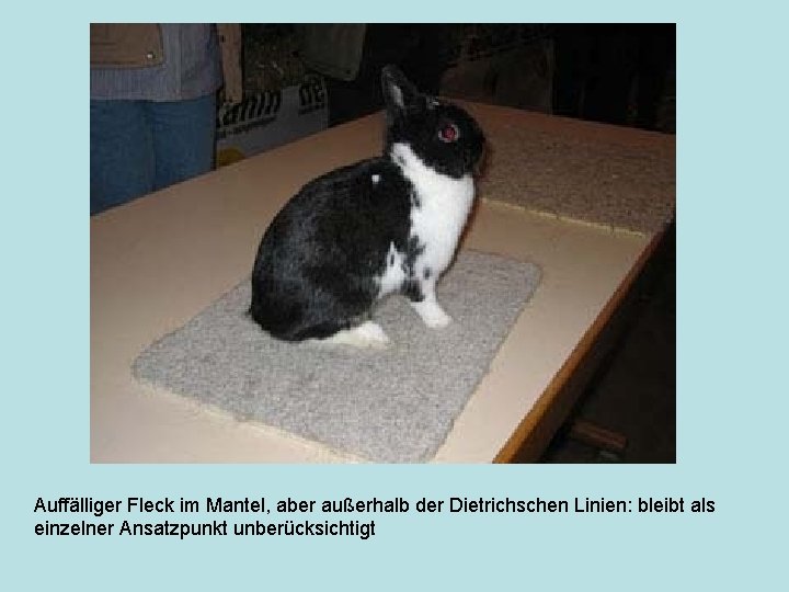 Auffälliger Fleck im Mantel, aber außerhalb der Dietrichschen Linien: bleibt als einzelner Ansatzpunkt unberücksichtigt