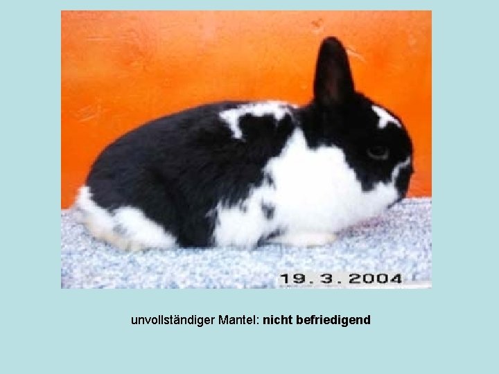 unvollständiger Mantel: nicht befriedigend 
