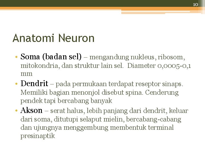 10 Anatomi Neuron • Soma (badan sel) – mengandung nukleus, ribosom, mitokondria, dan struktur