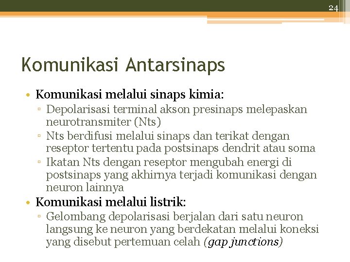 24 Komunikasi Antarsinaps • Komunikasi melalui sinaps kimia: ▫ Depolarisasi terminal akson presinaps melepaskan