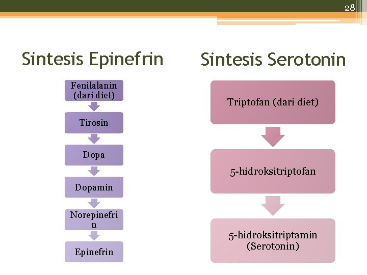 28 Sintesis Epinefrin Fenilalanin (dari diet) Sintesis Serotonin Triptofan (dari diet) Tirosin Dopa 5