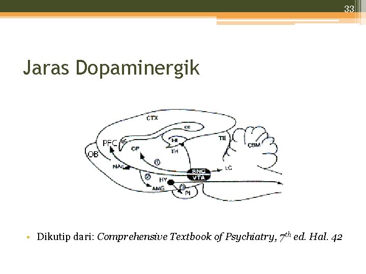 33 Jaras Dopaminergik • Dikutip dari: Comprehensive Textbook of Psychiatry, 7 th ed. Hal.