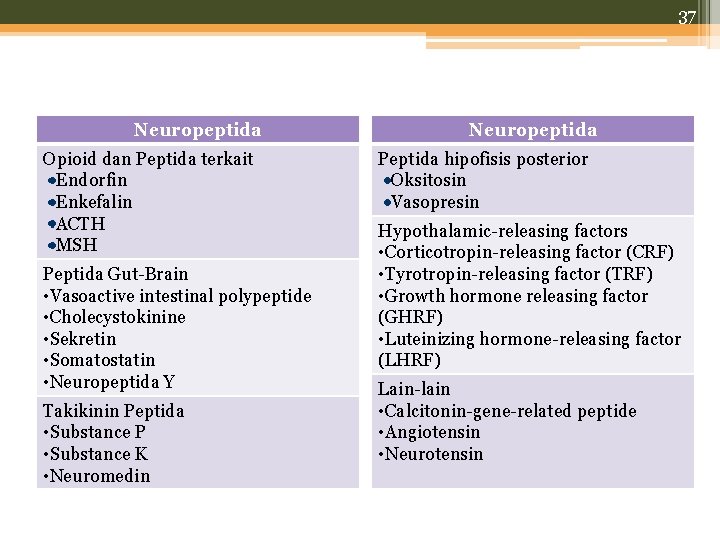 37 Neuropeptida Opioid dan Peptida terkait Endorfin Enkefalin ACTH MSH Peptida Gut-Brain • Vasoactive