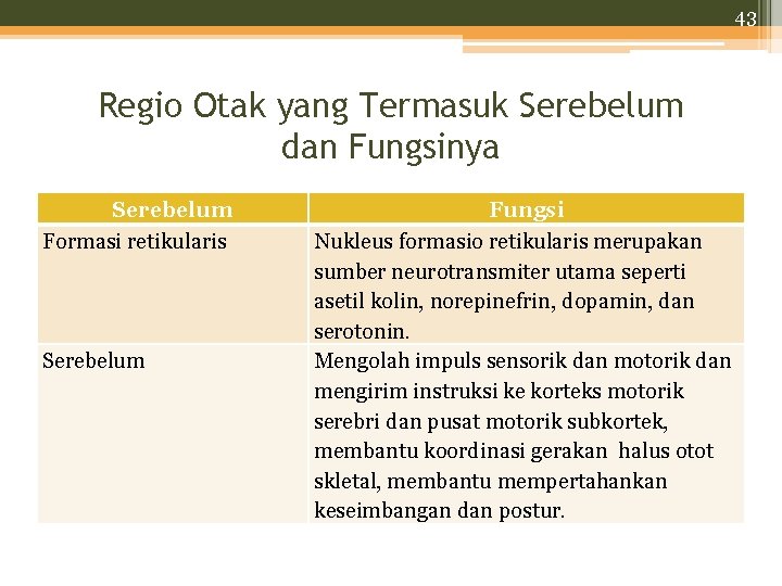 43 Regio Otak yang Termasuk Serebelum dan Fungsinya Serebelum Formasi retikularis Serebelum Fungsi Nukleus