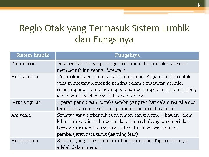 44 Regio Otak yang Termasuk Sistem Limbik dan Fungsinya Sistem limbik Diensefalon Hipotalamus Girus