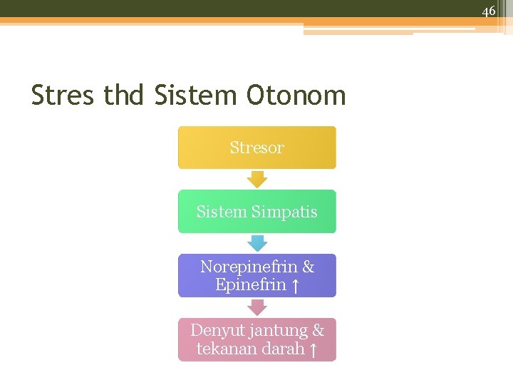 46 Stres thd Sistem Otonom Stresor Sistem Simpatis Norepinefrin & Epinefrin ↑ Denyut jantung