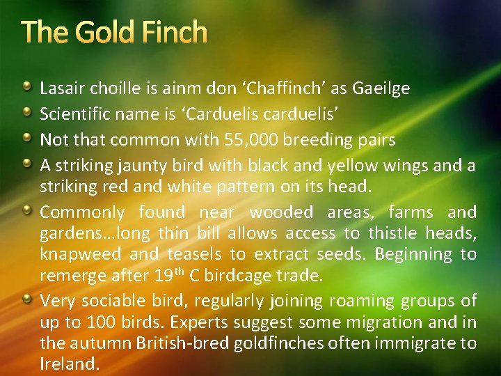The Gold Finch Lasair choille is ainm don ‘Chaffinch’ as Gaeilge Scientific name is