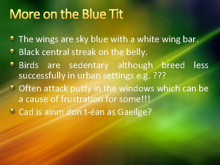 More on the Blue Tit The wings are sky blue with a white wing