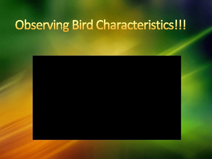 Observing Bird Characteristics!!! 