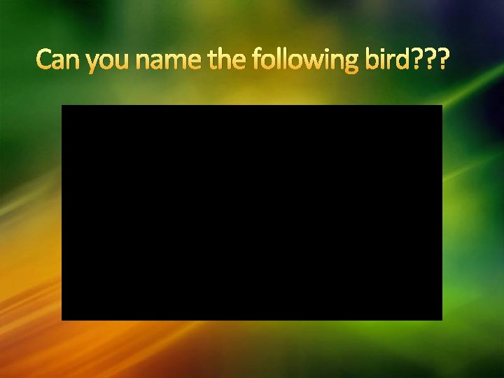 Can you name the following bird? ? ? 