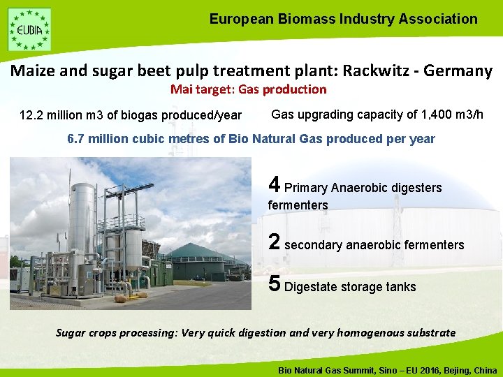 European Biomass Industry Association Maize and sugar beet pulp treatment plant: Rackwitz - Germany