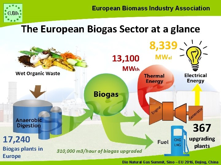 European Biomass Industry Association The European Biogas Sector at a glance 13, 100 8,