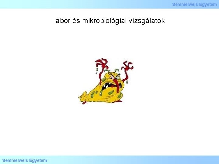 labor és mikrobiológiai vizsgálatok 