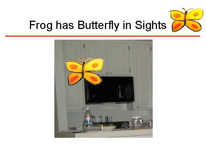 Frog has Butterfly in Sights 