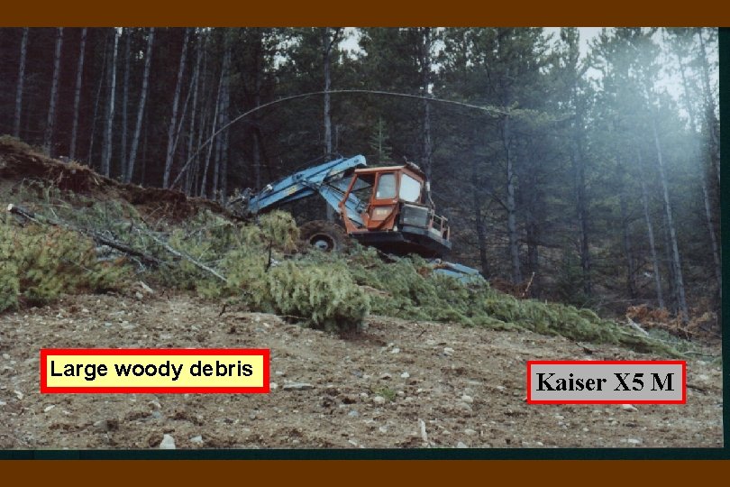 Large woody debris Kaiser X 5 M 