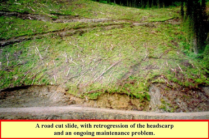 A road cut slide, with retrogression of the headscarp and an ongoing maintenance problem.