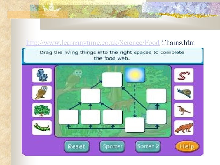 http: //www. learnanytime. co. uk/Science/Food Chains. htm 