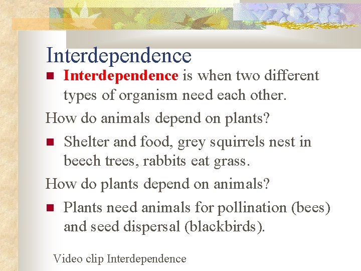 Interdependence is when two different types of organism need each other. How do animals