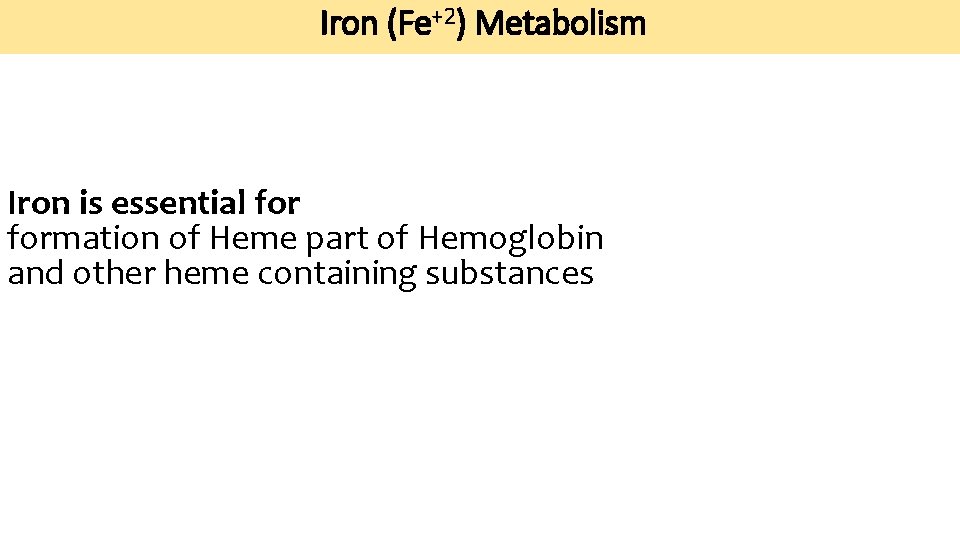Iron metabolism Hemoglobin catabolism By Dr Sunita Mittal