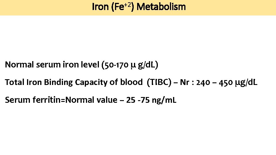 Iron (Fe+2) Metabolism Normal serum iron level (50 -170 μ g/d. L) Total Iron