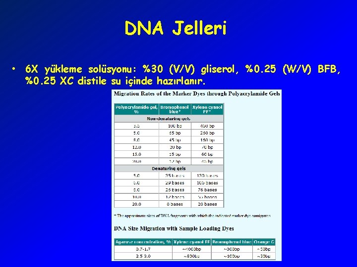 DNA Jelleri • 6 X yükleme solüsyonu: %30 (V/V) gliserol, %0. 25 (W/V) BFB,