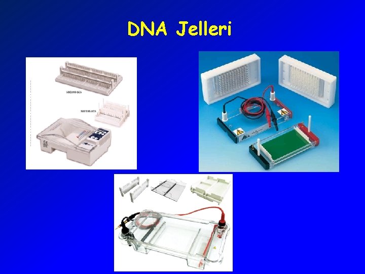 DNA Jelleri 