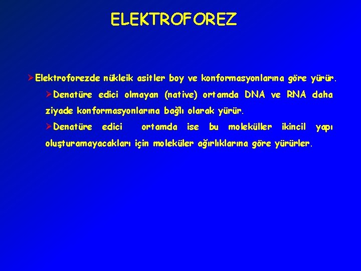 ELEKTROFOREZ ØElektroforezde nükleik asitler boy ve konformasyonlarına göre yürür. ØDenatüre edici olmayan (native) ortamda