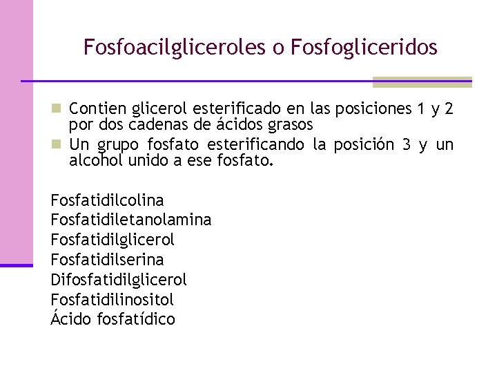 Fosfoacilgliceroles o Fosfogliceridos n Contien glicerol esterificado en las posiciones 1 y 2 por