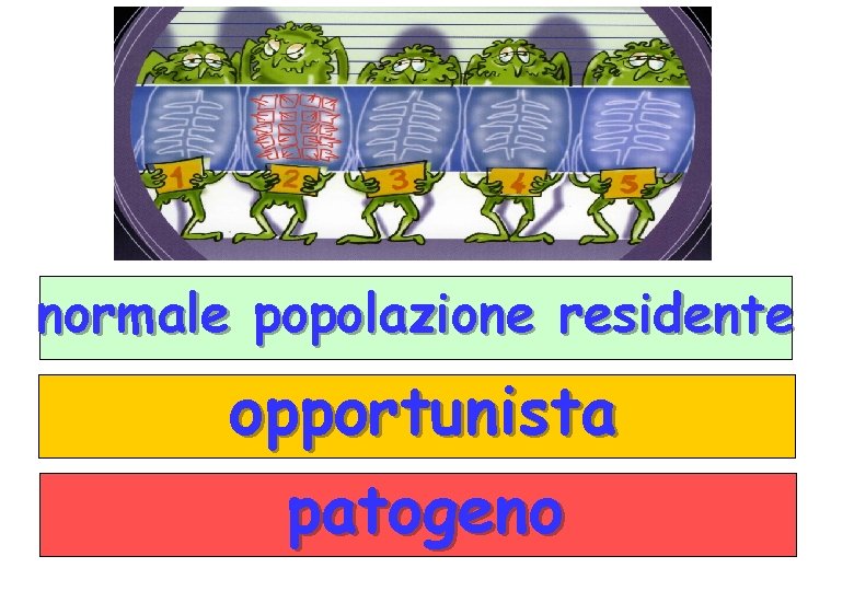 normale popolazione residente opportunista patogeno 