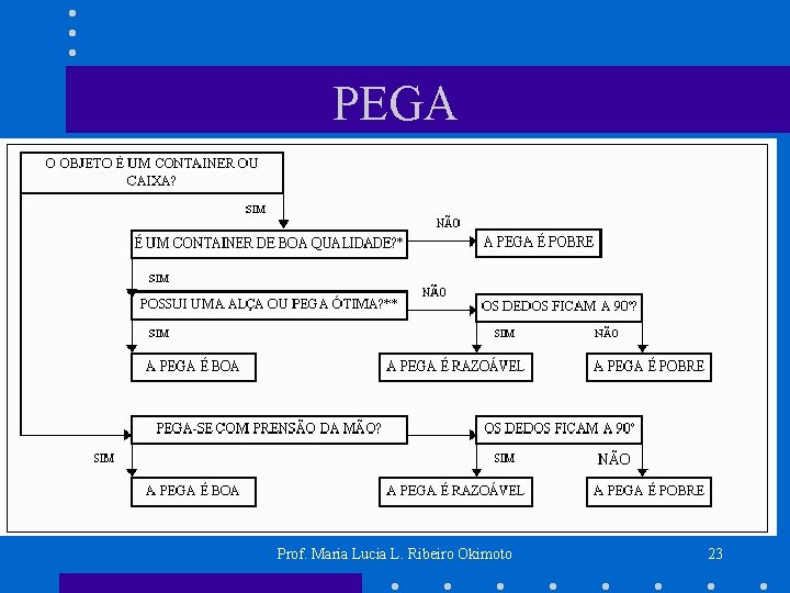 PEGA Prof. Maria Lucia L. Ribeiro Okimoto 23 