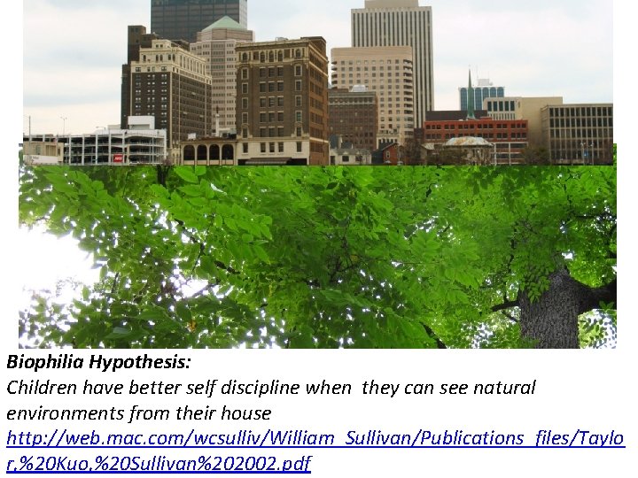 Biophilia Hypothesis: Children have better self discipline when they can see natural environments from