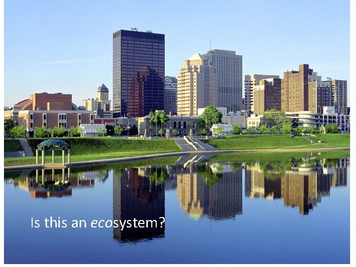 Is this an ecosystem? 