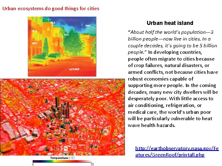 Urban ecosystems do good things for cities Urban heat island “About half the world’s
