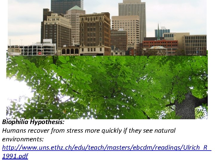 Biophilia Hypothesis: Humans recover from stress more quickly if they see natural environments: http: