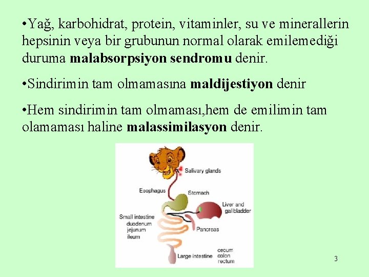  • Yağ, karbohidrat, protein, vitaminler, su ve minerallerin hepsinin veya bir grubunun normal