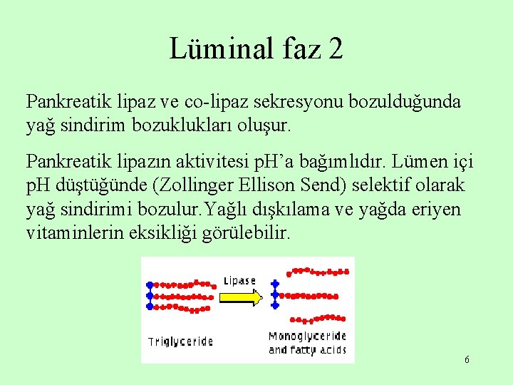 Lüminal faz 2 Pankreatik lipaz ve co-lipaz sekresyonu bozulduğunda yağ sindirim bozuklukları oluşur. Pankreatik