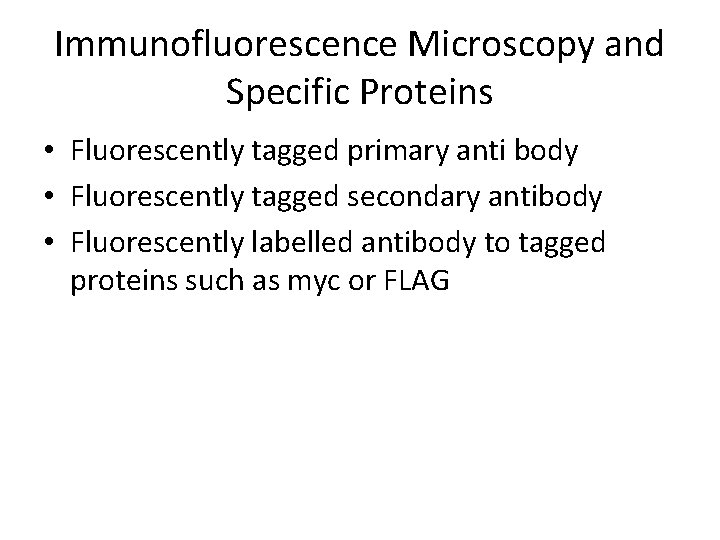 Immunofluorescence Microscopy and Specific Proteins • Fluorescently tagged primary anti body • Fluorescently tagged Immunofluorescence Microscopy and Specific Proteins • Fluorescently tagged primary anti body • Fluorescently tagged