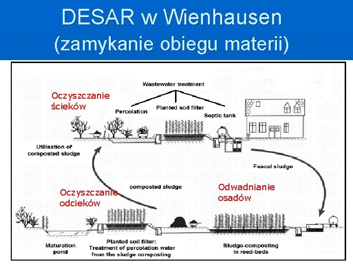 DESAR w Wienhausen (zamykanie obiegu materii) Oczyszczanie ścieków Oczyszczanie odcieków Odwadnianie Oczy osadów 