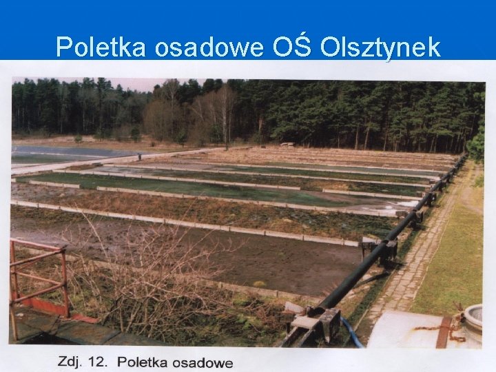 Poletka osadowe OŚ Olsztynek 