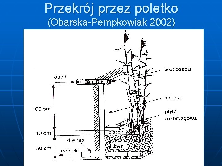 Przekrój przez poletko (Obarska-Pempkowiak 2002) 