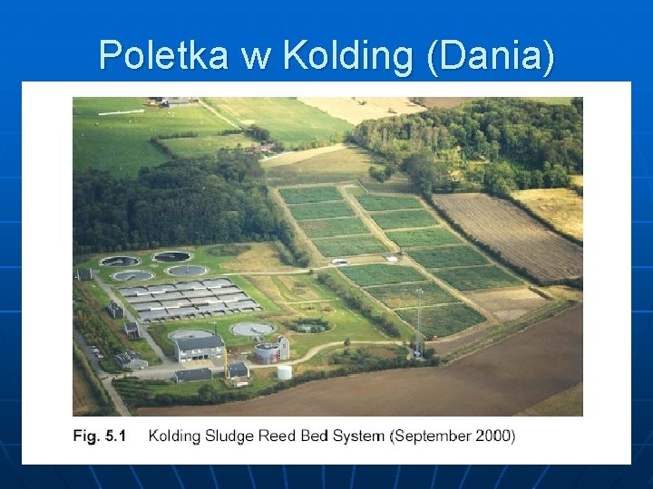 Poletka w Kolding (Dania) 