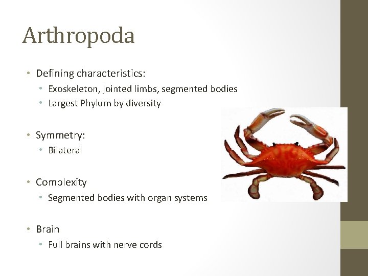Arthropoda • Defining characteristics: • Exoskeleton, jointed limbs, segmented bodies • Largest Phylum by