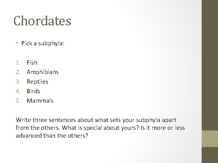 Chordates • Pick a subphyla: 1. 2. 3. 4. 5. Fish Amphibians Reptiles Birds