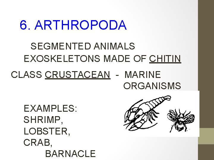 6. ARTHROPODA SEGMENTED ANIMALS EXOSKELETONS MADE OF CHITIN CLASS CRUSTACEAN - MARINE ORGANISMS EXAMPLES: