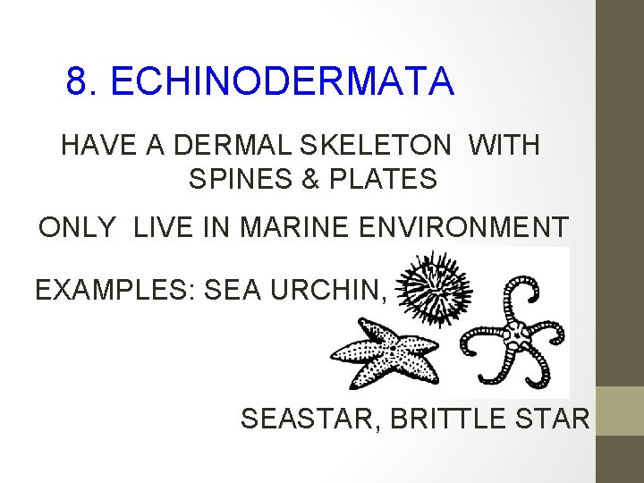 8. ECHINODERMATA HAVE A DERMAL SKELETON WITH SPINES & PLATES ONLY LIVE IN MARINE